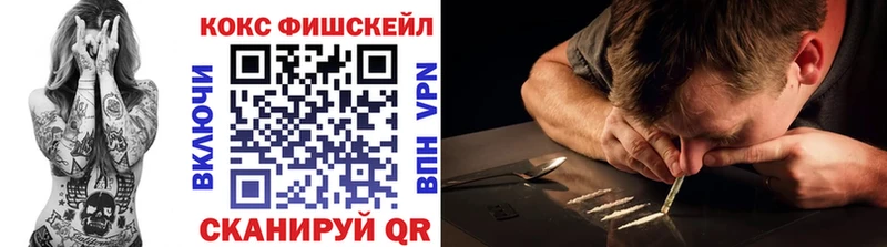 Cocaine Эквадор  даркнет сайт  Димитровград 