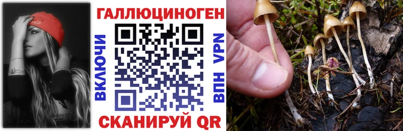 Галлюциногенные грибы мухоморы  Димитровград 
